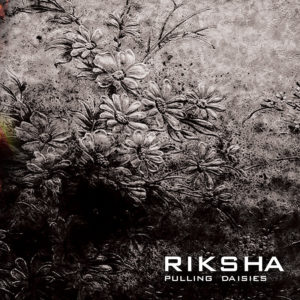 riksha-pullingdaisies2012